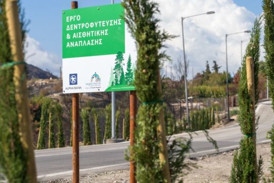 ALPHA BANK ΡΟΔΟΣ